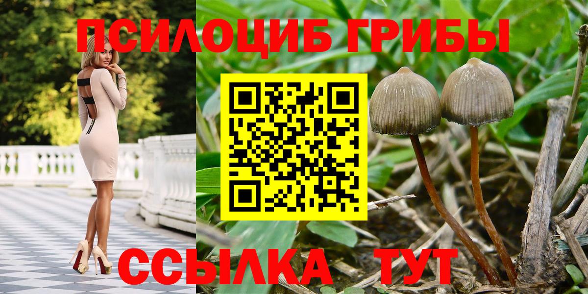 Самара  Галлюциногенные грибы Psilocybine cubensis  как найти   Вход с VPN 
